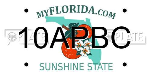 10APBC Florida License Plate