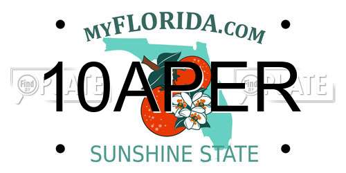 10APER Florida License Plate
