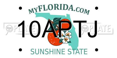 10APTJ Florida License Plate