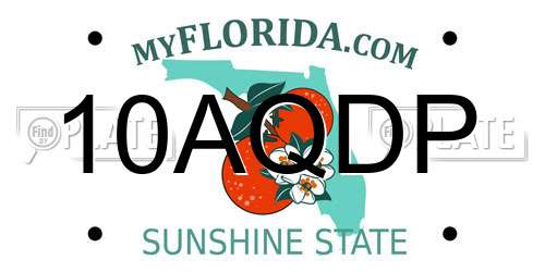 10AQDP Florida License Plate
