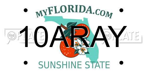 10ARAY Florida License Plate
