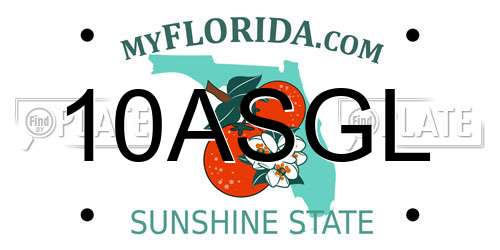 10ASGL Florida License Plate