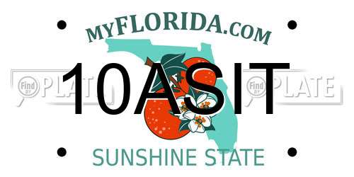 10ASIT Florida License Plate