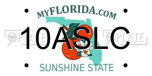10ASLC Florida License Plate