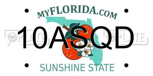 10ASQD Florida License Plate