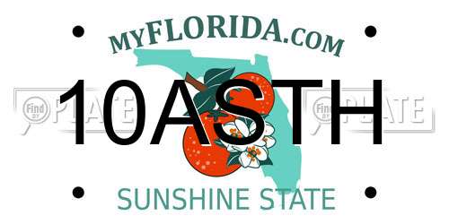 10ASTH Florida License Plate
