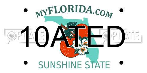 10ATED Florida License Plate