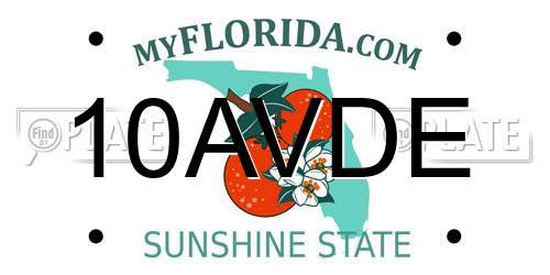 10AVDE Florida License Plate
