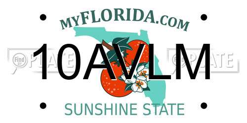 10AVLM Florida License Plate