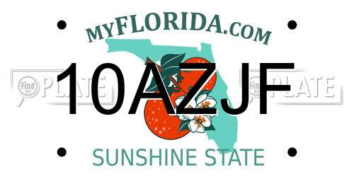 10AZJF Florida License Plate