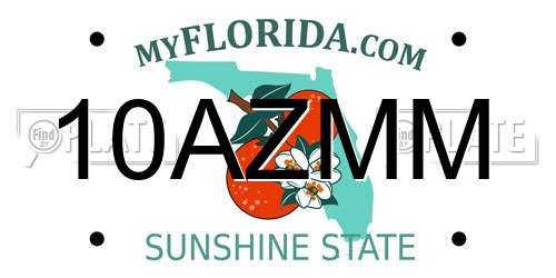10AZMM Florida License Plate