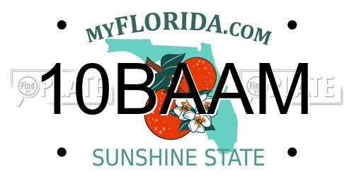 10BAAM Florida License Plate