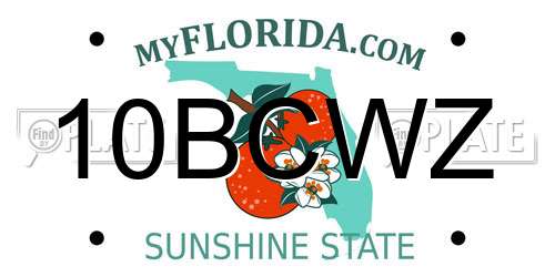 10BCWZ Florida License Plate