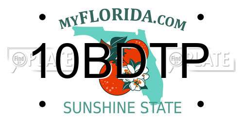 10BDTP Florida License Plate