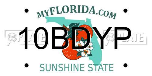 10BDYP Florida License Plate