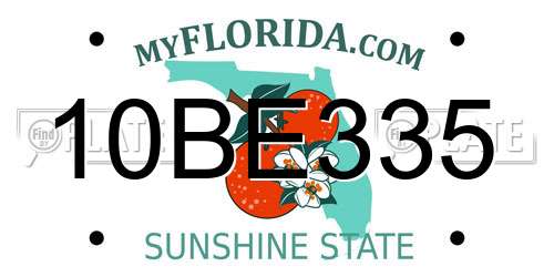10BE335 Florida License Plate