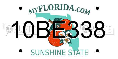 10BE338 Florida License Plate