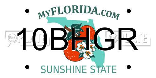 10BHGR Florida License Plate