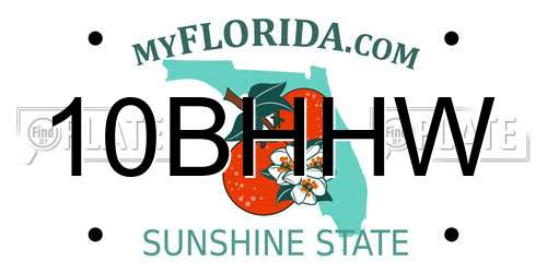 10BHHW Florida License Plate