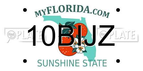 10BIJZ Florida License Plate