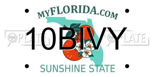 10BIVY Florida License Plate