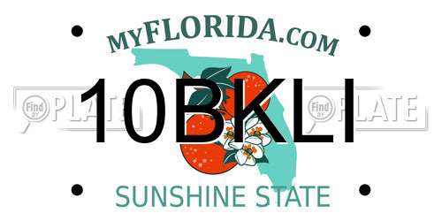 10BKLI Florida License Plate
