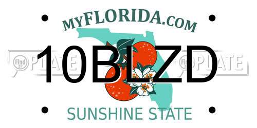 10BLZD Florida License Plate