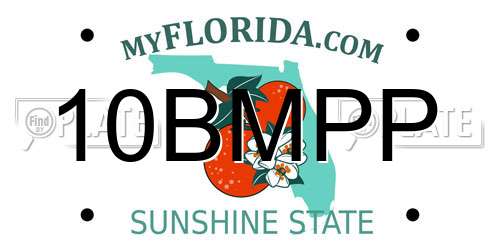 10BMPP Florida License Plate