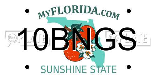 10BNGS Florida License Plate
