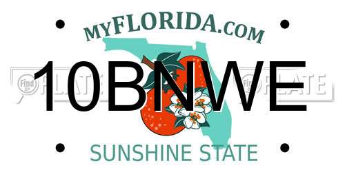 10BNWE Florida License Plate