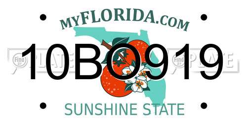 10BO919 Florida License Plate