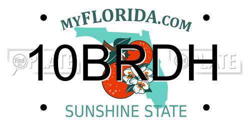 10BRDH Florida License Plate