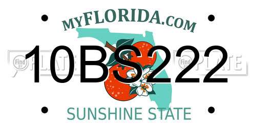 10BS222 Florida License Plate