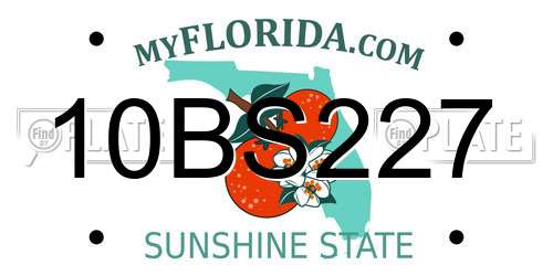 10BS227 Florida License Plate
