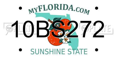10BS272 Florida License Plate