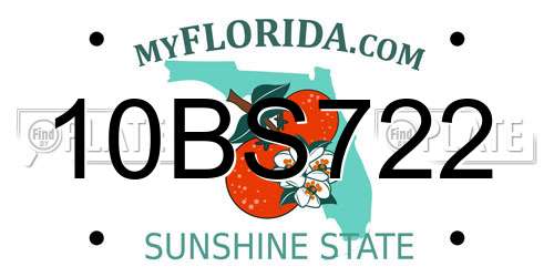 10BS722 Florida License Plate