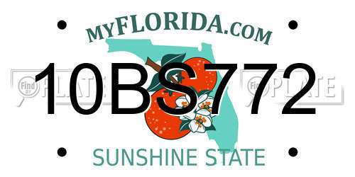 10BS772 Florida License Plate