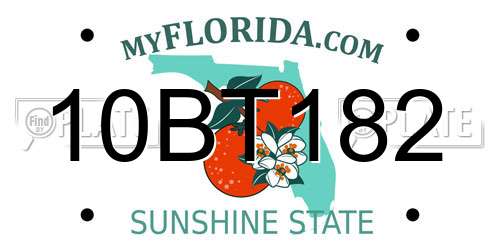 10BT182 Florida License Plate