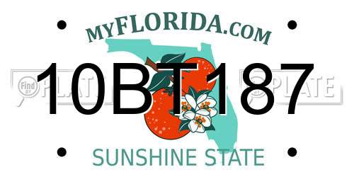 10BT187 Florida License Plate