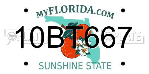 10BT667 Florida License Plate
