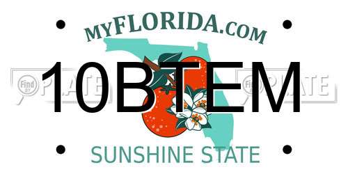 10BTEM Florida License Plate