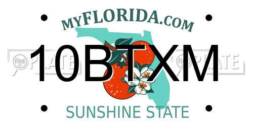 10BTXM Florida License Plate
