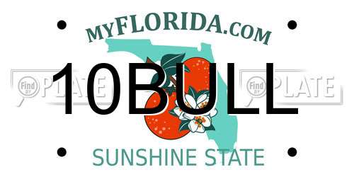 10BULL Florida License Plate