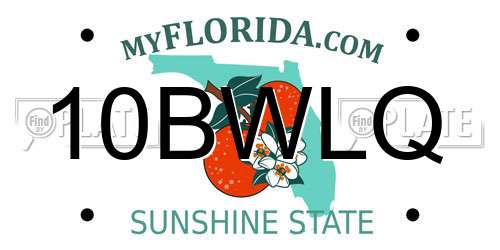 10BWLQ Florida License Plate