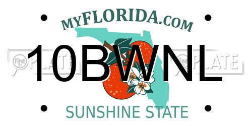 10BWNL Florida License Plate