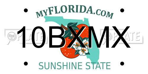 10BXMX Florida License Plate