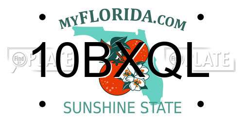 10BXQL Florida License Plate