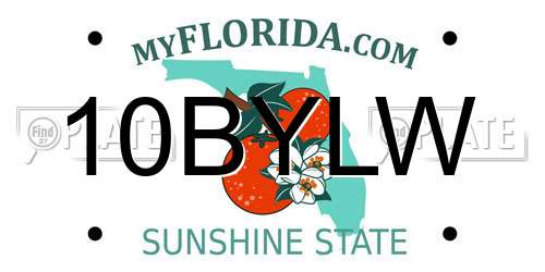 10BYLW Florida License Plate