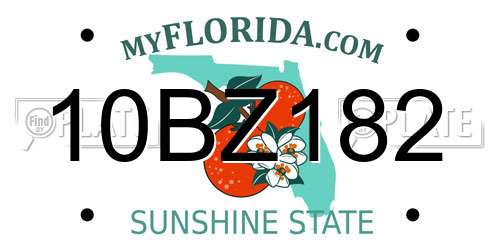 10BZ182 Florida License Plate