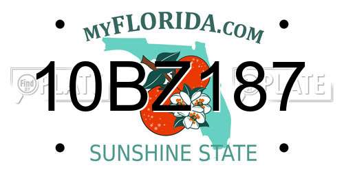 10BZ187 Florida License Plate
